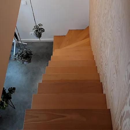 Cosy & Modern Historical In Old Town - Leon 4p Антверпен